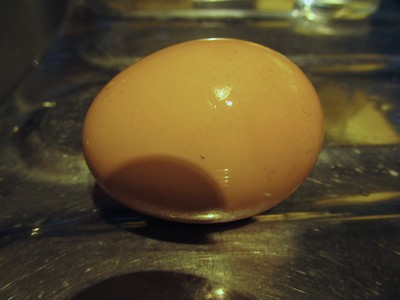 Our first egg