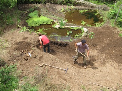 Expanding a pond at Quinta do Vale