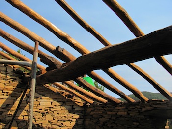Roof progress
